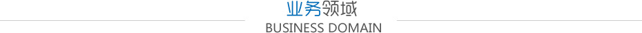 业务领域