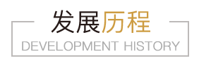 发展历程