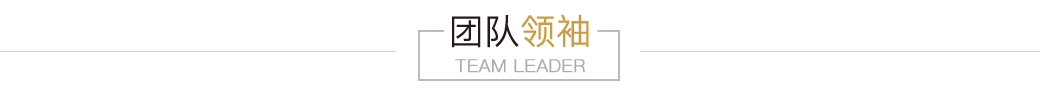团队领导