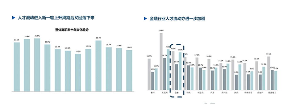 报告预览