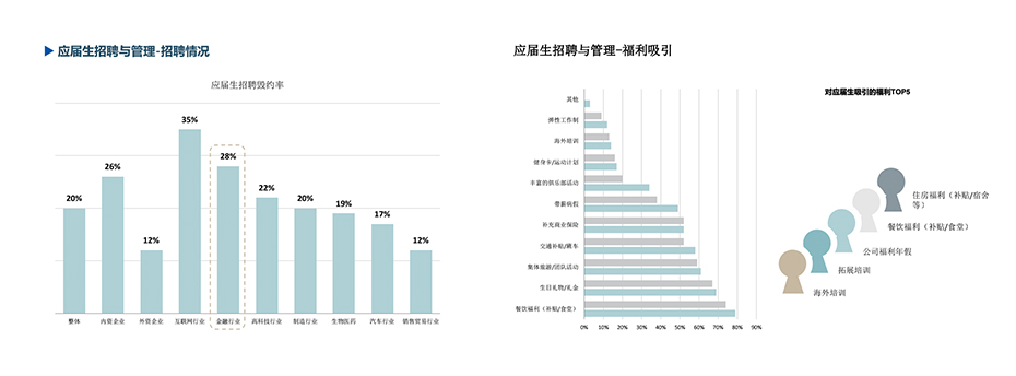 报告预览